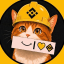 Binance Cat (binance-cat.com) (BNBCAT)