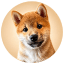 MEEKO (MEEKO)