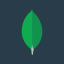 Mongodb Inc (Derivatives) (MDB)