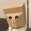 Anonymous Cat (ZCAT)